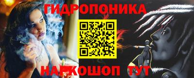 стафф Заволжье