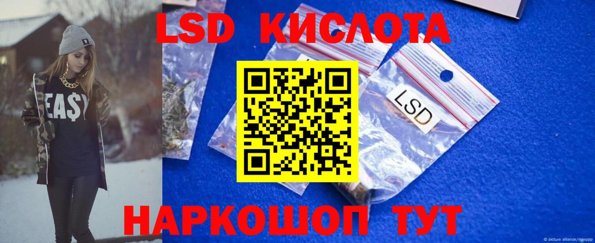 ЛСД экстази  Вход с VPN  Курчалой  ЛСД экстази кислота  ЛСД экстази кислота 
