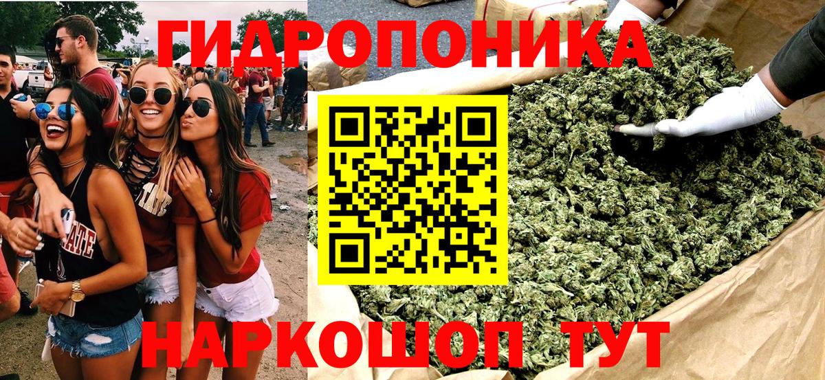 Марихуана индика  Бошки марихуана семена  Курчалой  Марихуана SATIVA & INDICA  Бошки Шишки OG Kush  Вход с VPN 